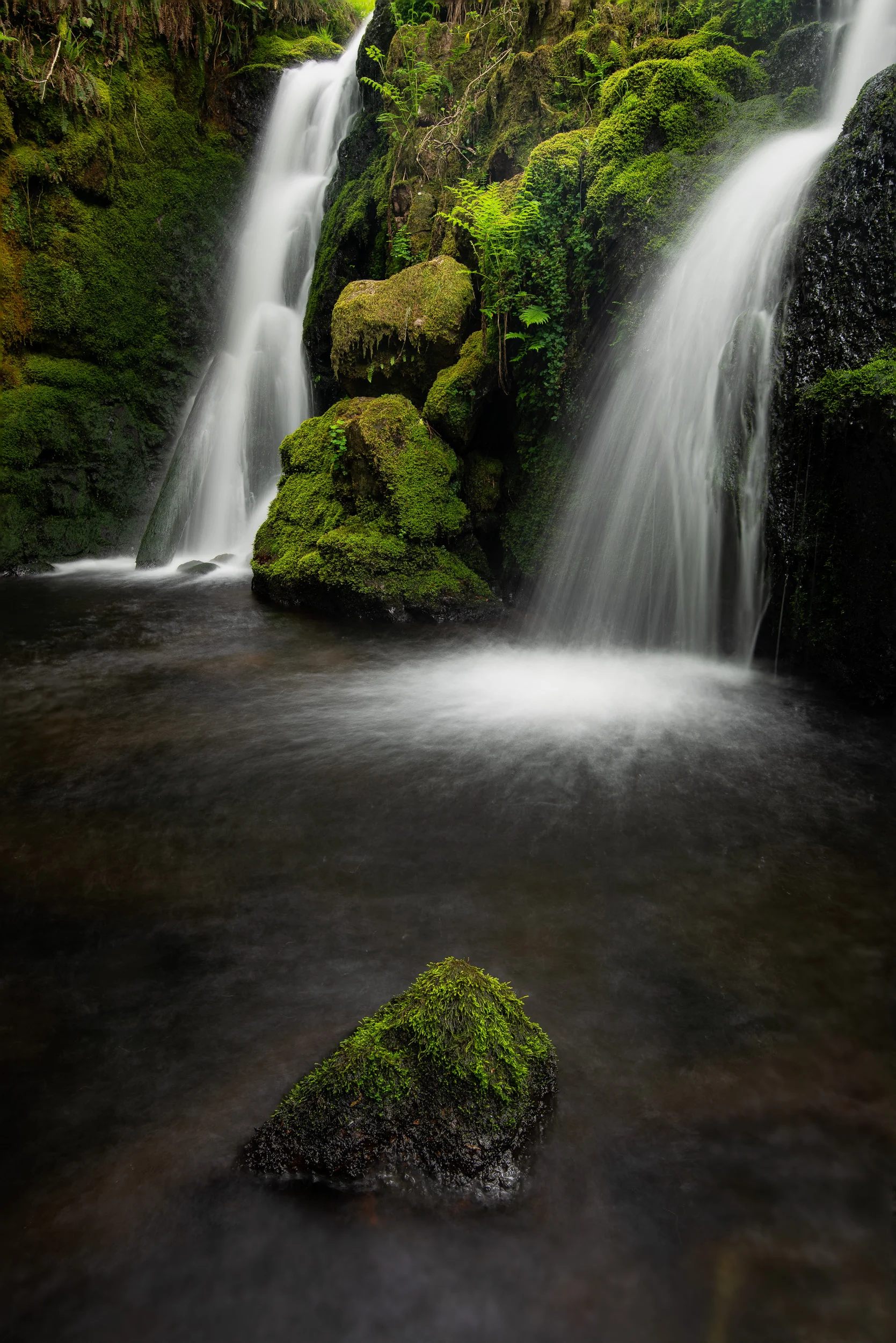 Focus Shift / Stacking with the Nikon D850: Capture and Processing